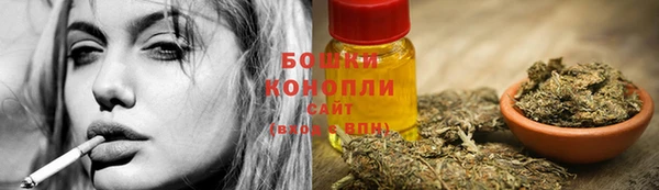 spice Бугульма