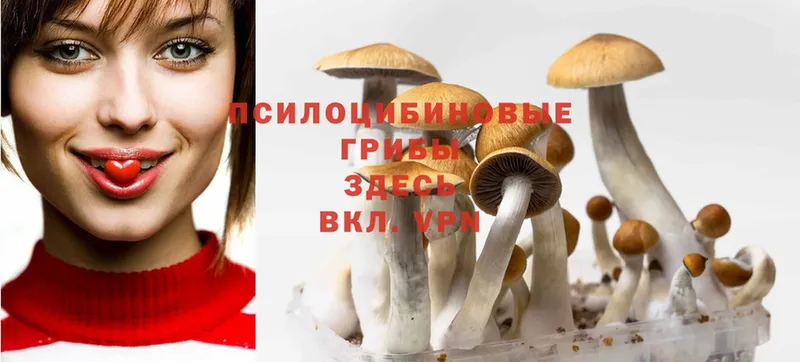 Галлюциногенные грибы Magic Shrooms  гидра   это состав  Полысаево 